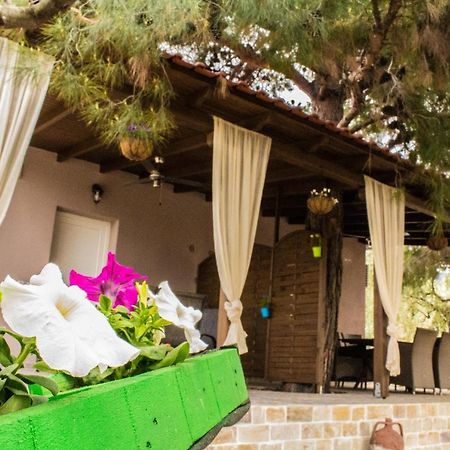 Villa Rona Skála Kallirákhis Exteriör bild