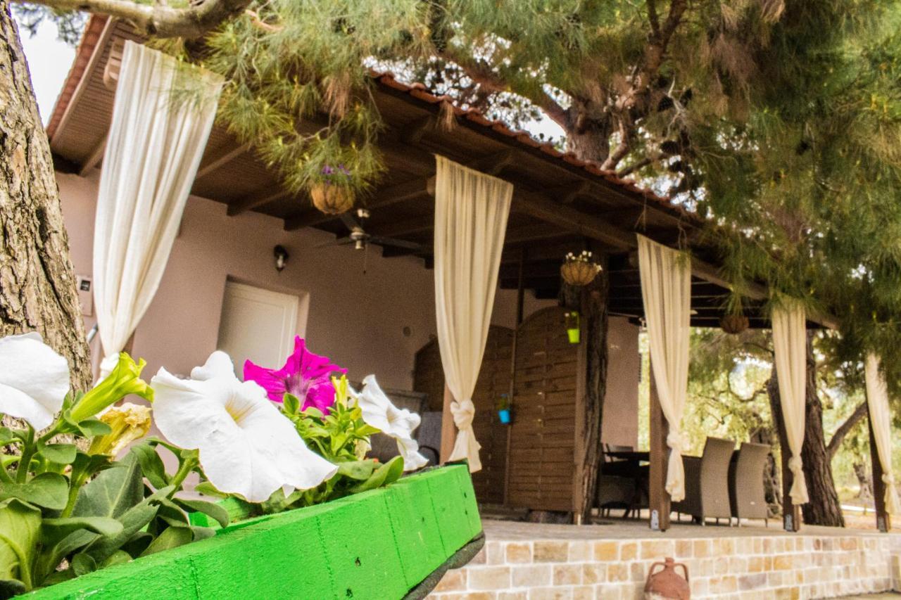 Villa Rona Skála Kallirákhis Exteriör bild
