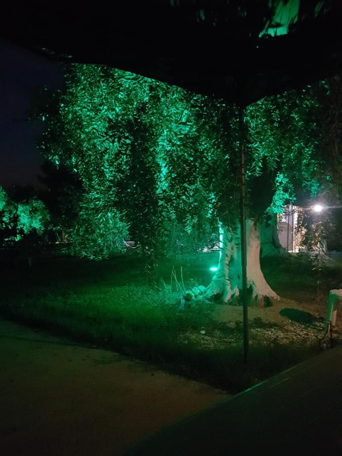 Villa Rona Skála Kallirákhis Exteriör bild