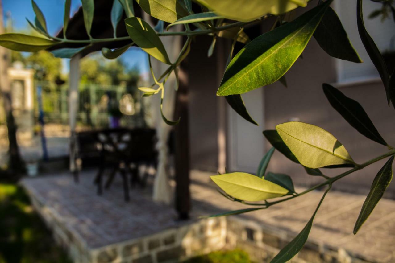 Villa Rona Skála Kallirákhis Exteriör bild